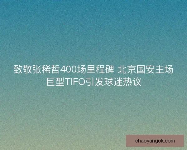 致敬张稀哲400场里程碑 北京国安主场巨型TIFO引发球迷热议