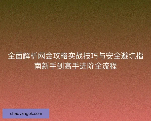 全面解析网金攻略实战技巧与安全避坑指南新手到高手进阶全流程